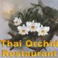 Thai Orchid